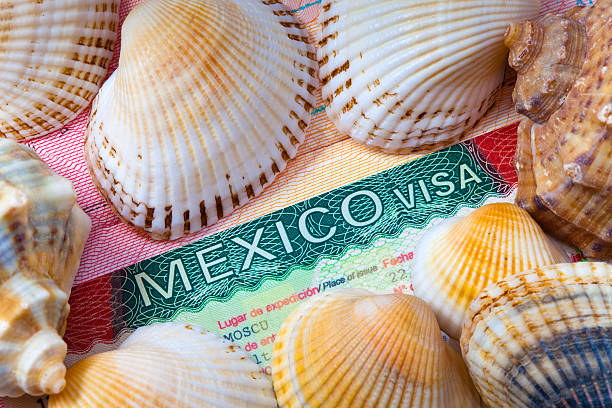 The visa of Mexico and sea cockleshells stock photo