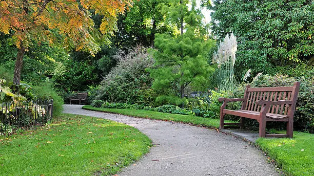Winding Path Way and Wooden Bench in a Beautiful and Peaceful Garden