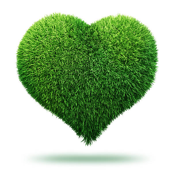 istock heart symbol made of grass 152945048