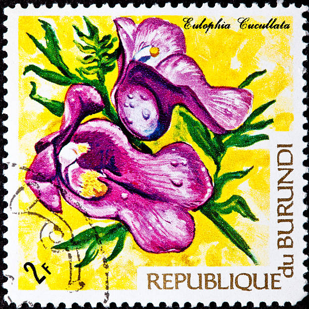 istock BURUNDI post stamp with tropical flowers 152945202
