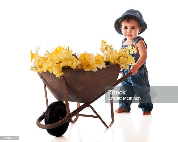 Foto de Flor Artista e mais fotos de stock de 6-11 meses - 6-11 meses, Amarelo, Bebê