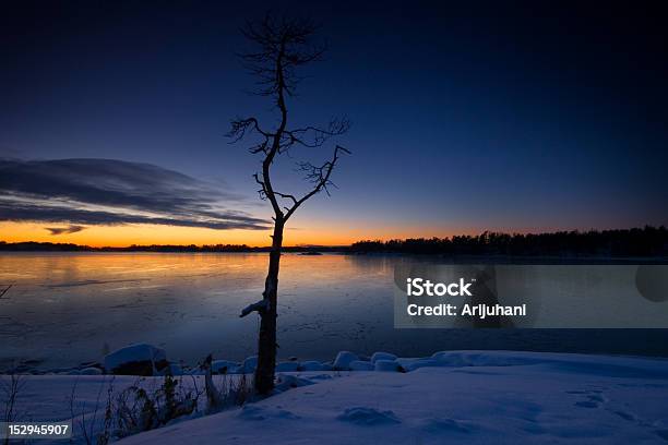 Photo libre de droit de Snowy Coucher Du Soleil À La Plage banque d'images et plus d'images libres de droit de Arbre - Arbre, Baie - Eau, Beauté de la nature