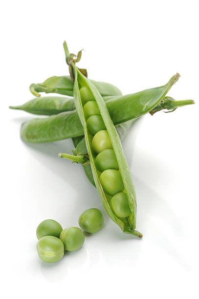 Pea – Foto