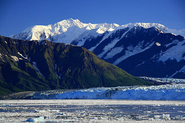 허버드 빙하, 알래스카 - hubbard glacier 뉴스 사진 이미지