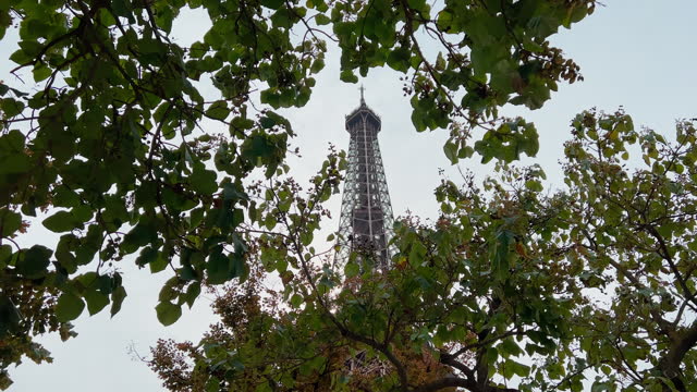 View of the Eiffel Tower through the branches of trees in cloudy weather