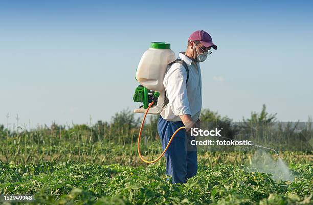 Mann Sprühen Gemüse Stockfoto und mehr Bilder von Versprühung von Schädlingsbekämpfungsmittel - Versprühung von Schädlingsbekämpfungsmittel, Agrarland, Arbeiten