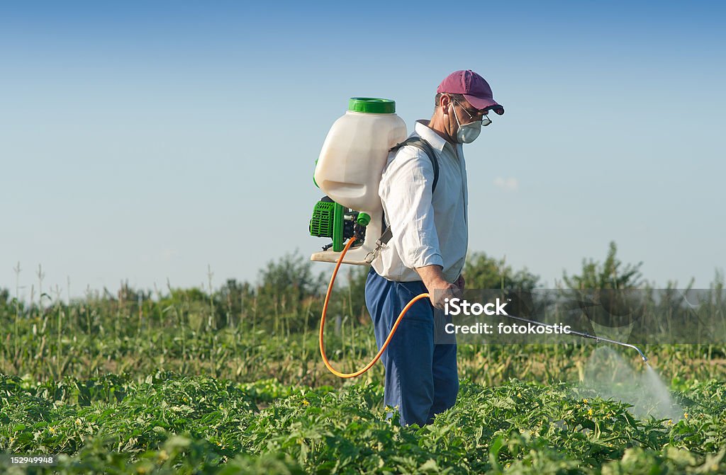 Uomo Spruzzare verdure - Foto stock royalty-free di Diserbante - Macchina agricola