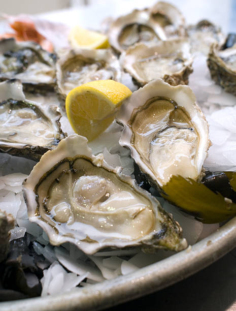 istock Oyster of the Atlantic Ocean 152950069