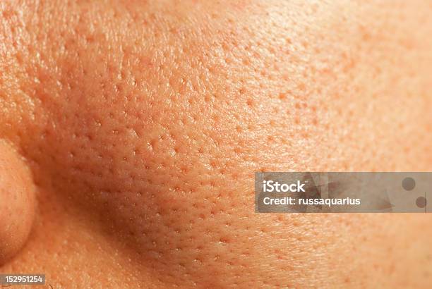 Facial Skin Closeup Stock Photo - Download Image Now - Pore, Large, Human Face