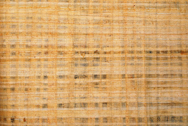 Papyrus texture - Photo