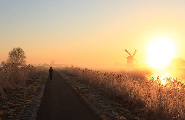 아침입니다 실행 - tranquil scene windmill netherlands dutch culture 뉴스 사진 이미지