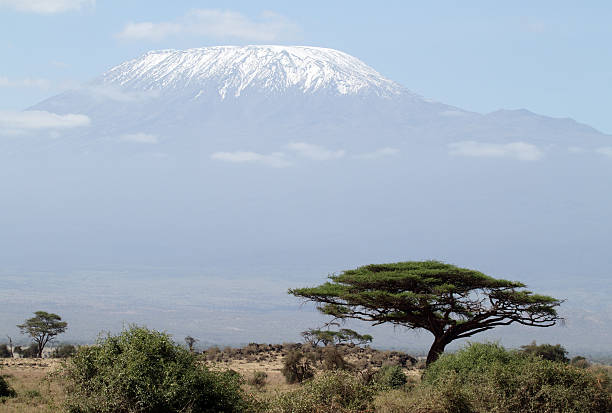 istock Mount Kilimanjaro, Africa's tallest mountain, seen from Amboseli 152952581