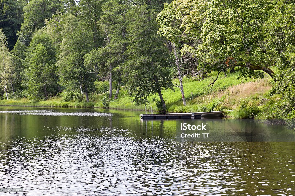 Bañarse lugar en el río - Foto de stock de Agua libre de derechos