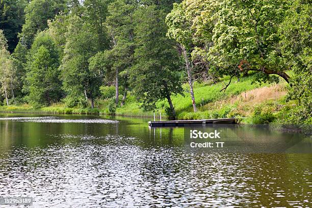 Bañarse Lugar En El Río Foto de stock y más banco de imágenes de Agua - Agua, Agua estancada, Aire libre