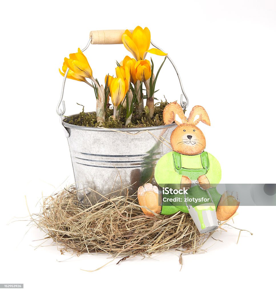 Easter bucket Easter bucket with easter bunny on a white background Blue Stock Photo
