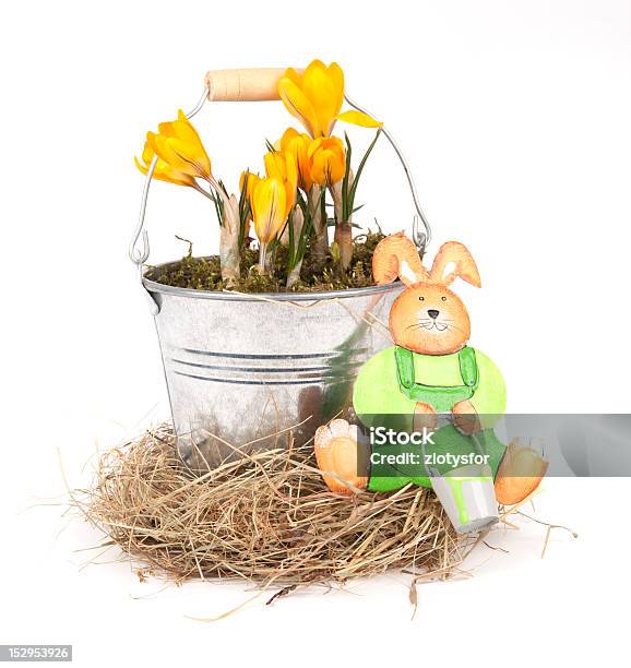 Easter Bucket Stock Photo - Download Image Now - Blue, Bucket, Can