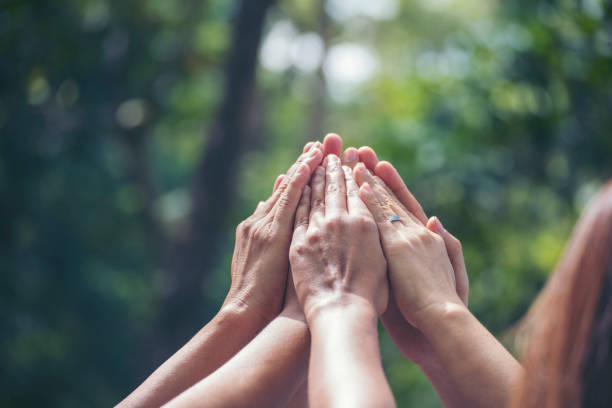 istock Group of teamwork high five team together hands raise up power partner. Diversity multiethnic group of business people success team together. Collaborate Volunteer friendship mission Business partner 1529547641