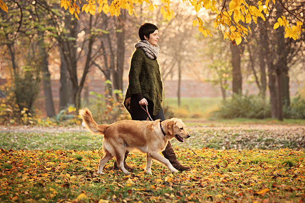 istock Girl and her dog walking in a park 152954912