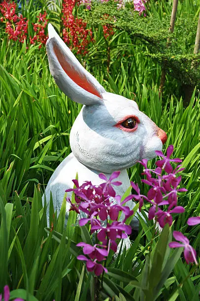 Easter bunny in the grass