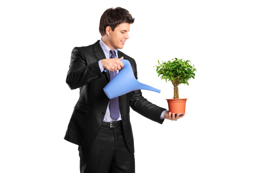 Portrait of a businessman holding a flower pot with benjamin and watering can isolated on white background