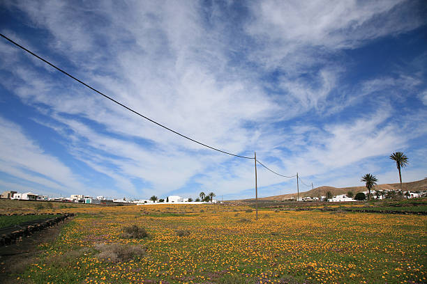 Rural scenery near Nazaret at the Canary Island Lanzarote stock photo