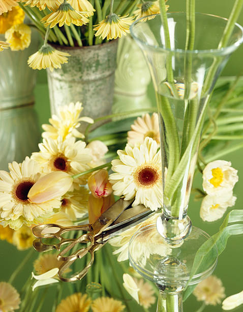 Spring Flower Arranging on Mirrored Surface stock photo