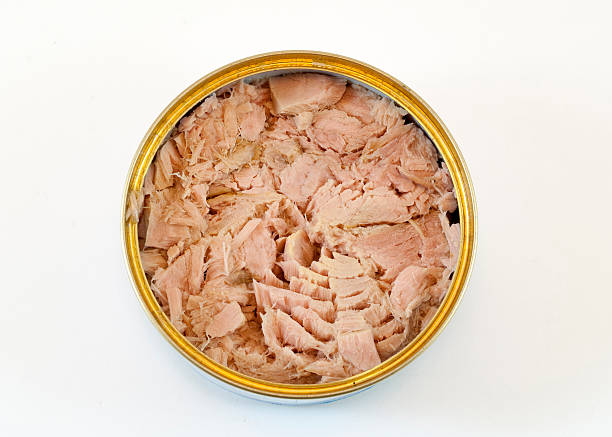 сжатый тунец - tuna стоковые фото и изображения