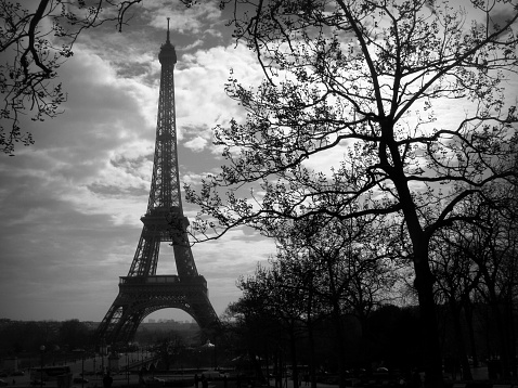 Eiffel Tower against La Defense district in sepia