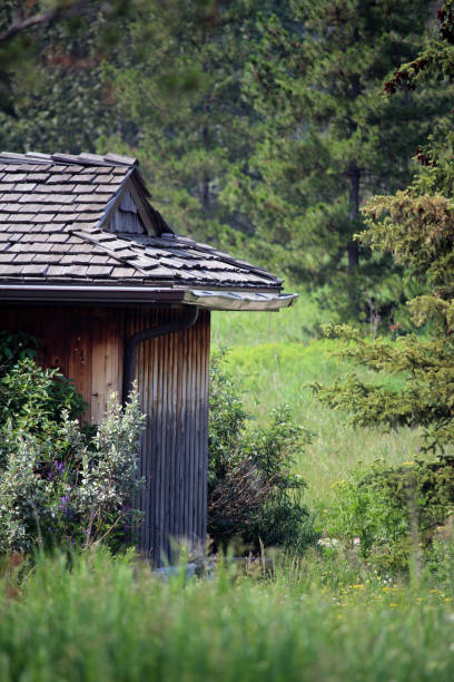 istock Cabin in the Woods in Summer 1529581217