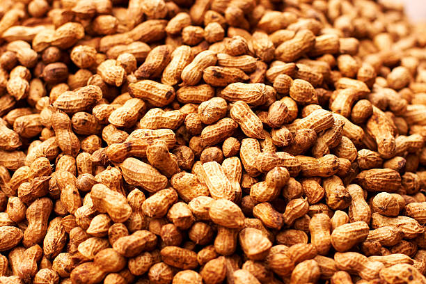 Peanut background stock photo