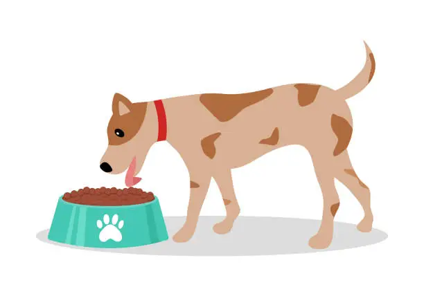 Vector illustration of Dog eating from bowl cartoon character in flat design on white background.