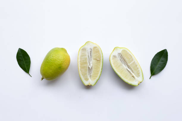 istock Ripe limes with green leaves on white. 1529601204