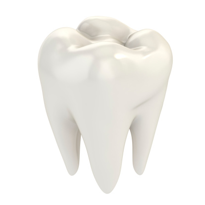 tooth isolated on the white background
