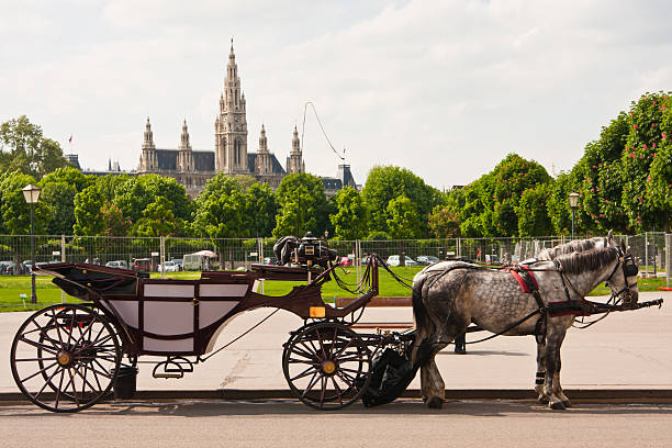 City Hall in Vienna with a fiaker, Austria