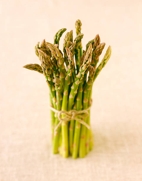 Bunch of Asparagus Tied with Twine stock photo