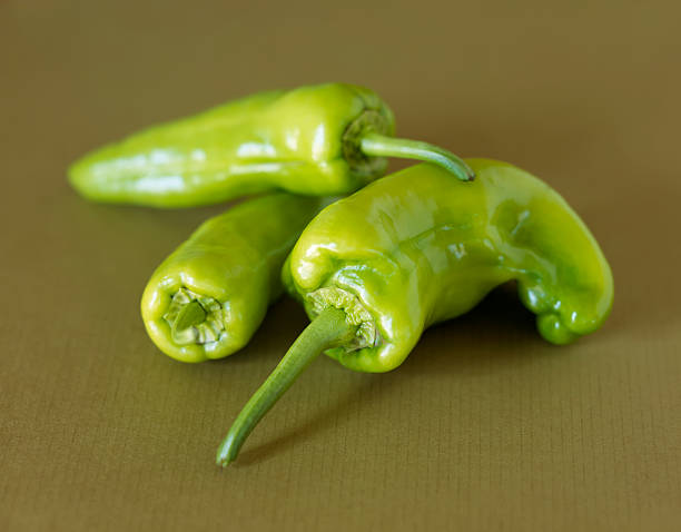 Three jalapeno peppers stock photo