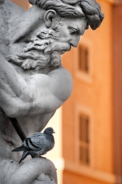 piccione statua di nettuno in piazza navona. - rome neptune piazza navona copy space foto e immagini stock