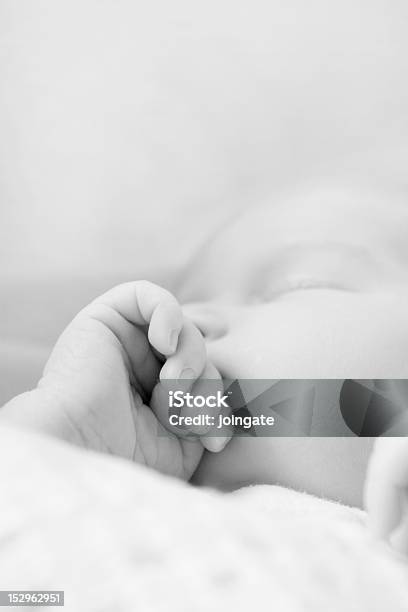 Recémnascido Dormir Rápida - Fotografias de stock e mais imagens de Bebé - Bebé, Bebés Meninas, Boca Humana