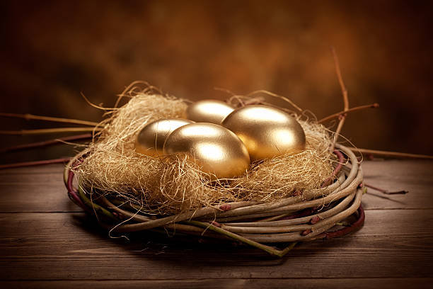 Wooden twigs nest holding four golden eggs stock photo