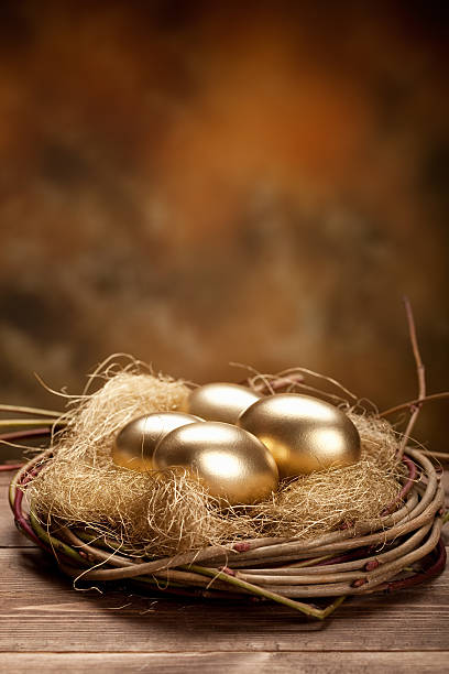 Golden nest eggs stock photo