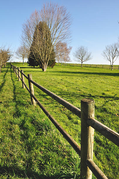 istock wooden fence 152963219