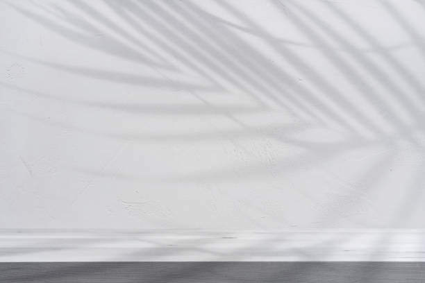 istock White cement or stone wall background and rough textured 1529636850