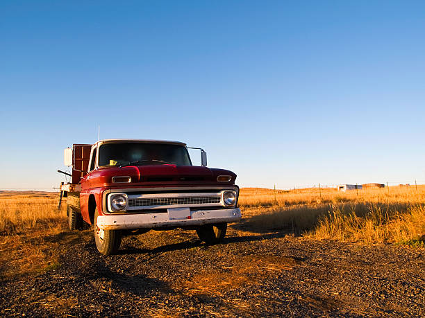 istock Old truck in early morning light 152963777