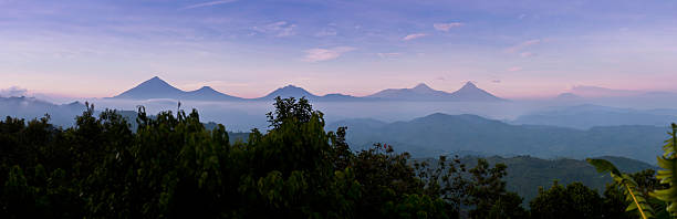 virunga - virunga national park zdjęcia i obrazy z banku zdjęć