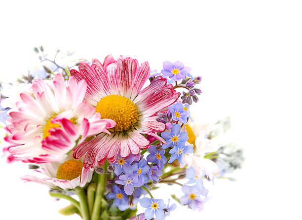 istock bouquet of spring flowers 152965657