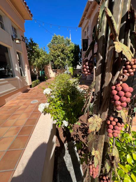 istock Sonoma courtyard shopping center 1529663842
