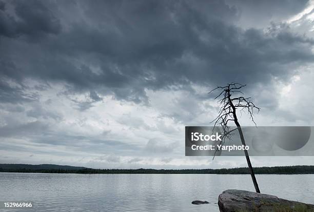 Natur Landschaft Am See Bei Schlechtem Wetter Stockfoto und mehr Bilder von Abenddämmerung - Abenddämmerung, Baum, Bedeckter Himmel