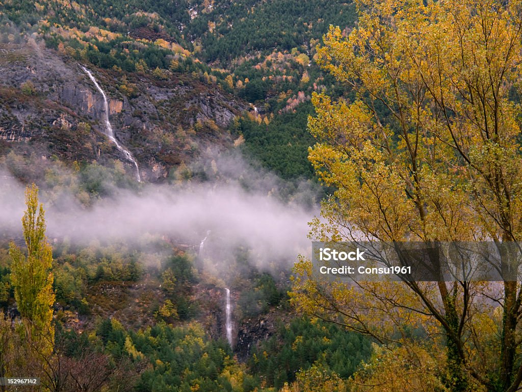 Niebla de la mañana - Foto de stock de Aire libre libre de derechos