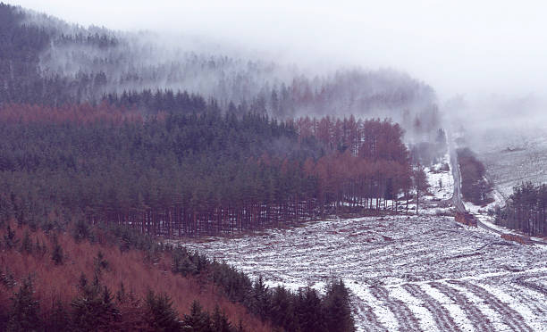 Misty Valley stock photo