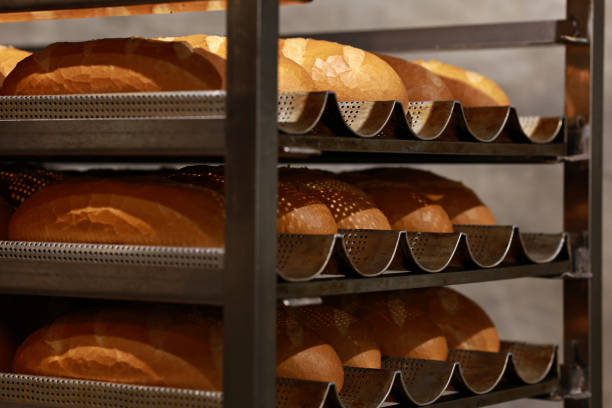Freshly baked Vietnamese Banh Mi bread loaves placed on a cooling rack.